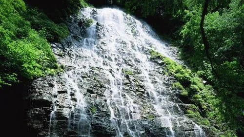 精密节能自动化